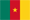 Cameroun's flag